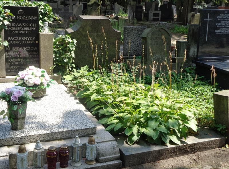 Zdjęcie grobu Marja Billewicz (1)