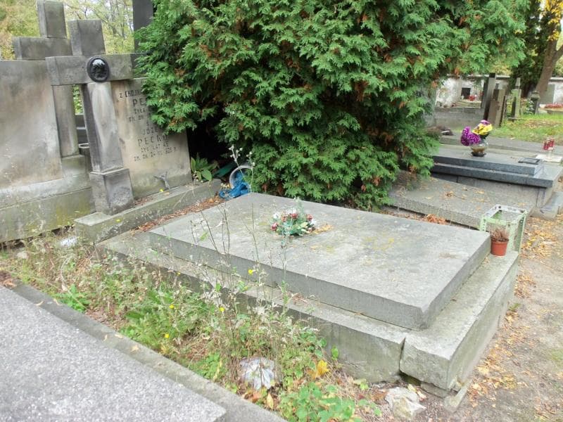 Zdjęcie grobu Helena Pećko (1)