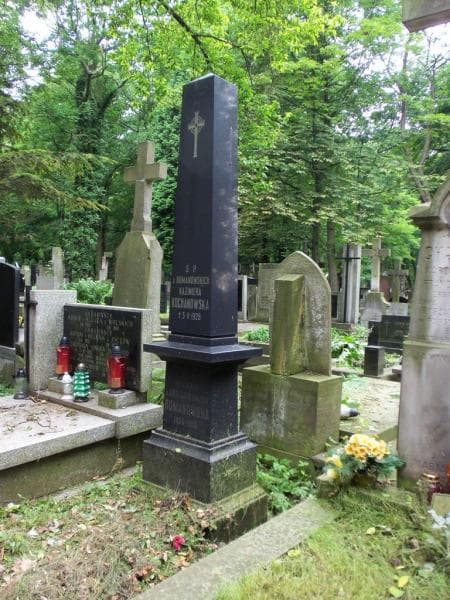 Zdjęcie grobu Kazimiera Kochanowska (2)