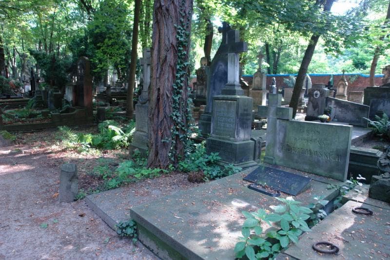 Zdjęcie grobu Tomasz Szczeciński (1)