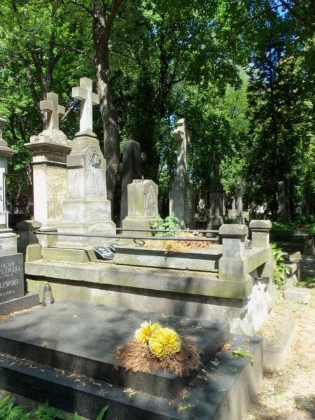 Zdjęcie grobu Zygmunt Janota-Bzowski (1)