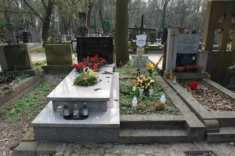 Zdjęcie grobu: Ludwik Olszyński