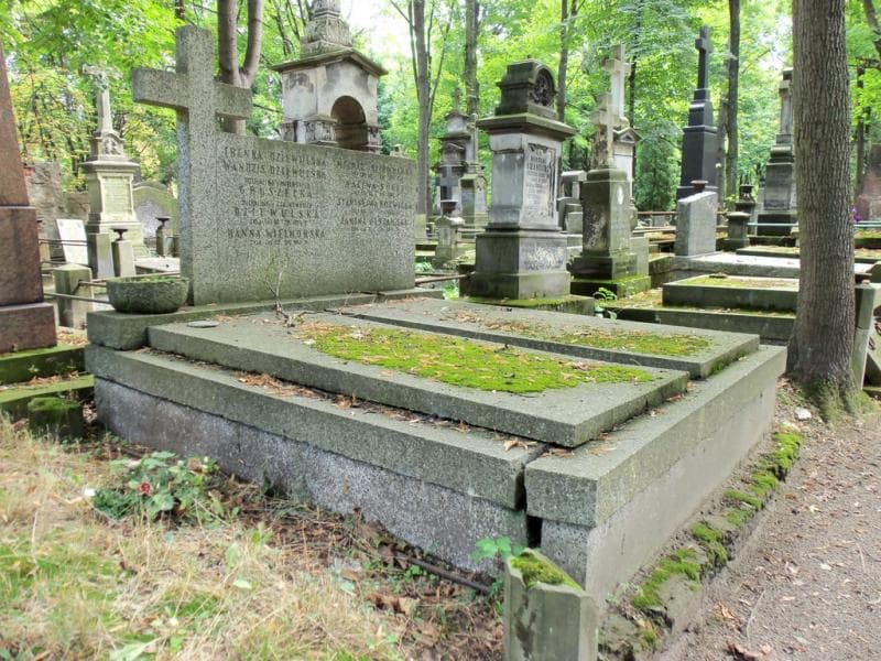 Zdjęcie grobu Janina Olszańska (1)