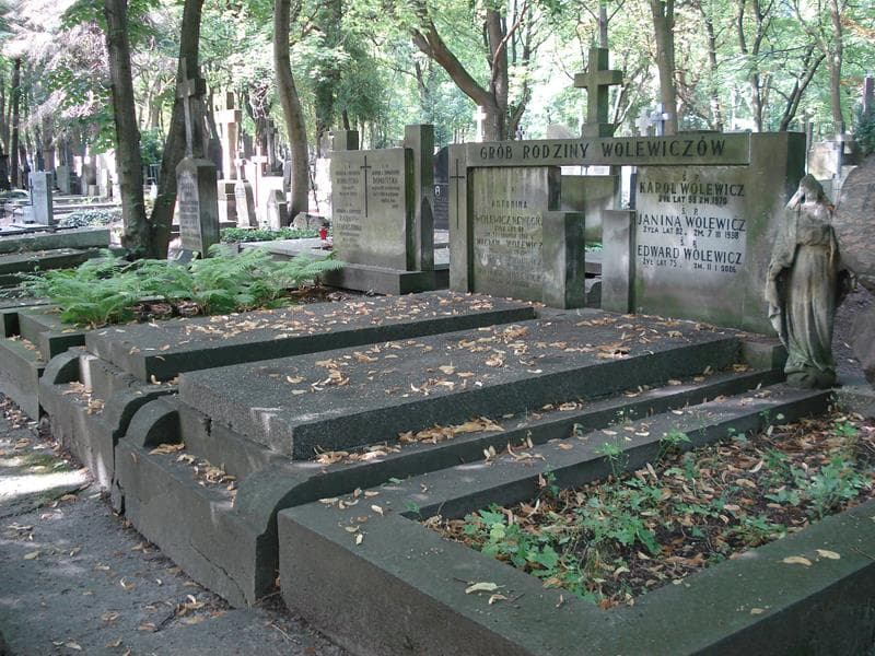 Zdjęcie grobu Janina Wolewicz (1)