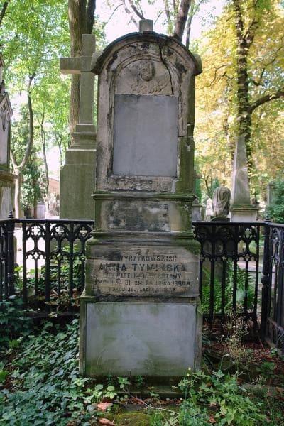 Zdjęcie grobu Anna Tymińska (2)