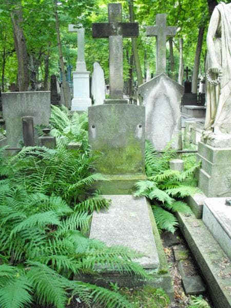 Zdjęcie grobu Maria Trzcińska (1)