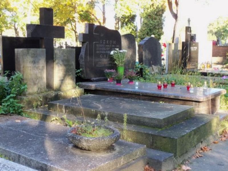 Zdjęcie grobu Maria Gorzkowska (1)