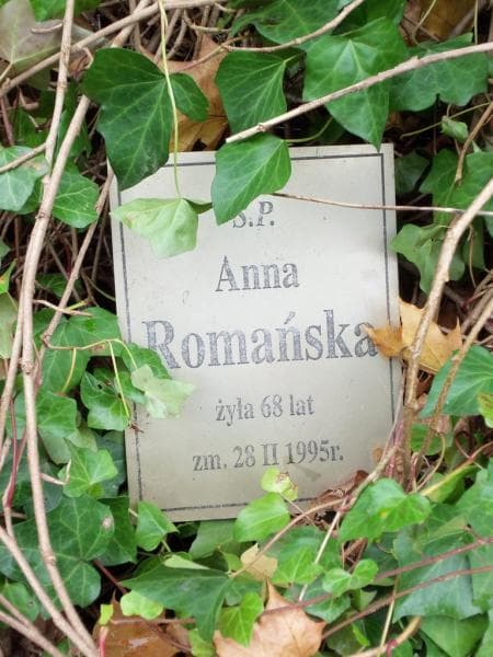 Zdjęcie grobu Anonim (2)