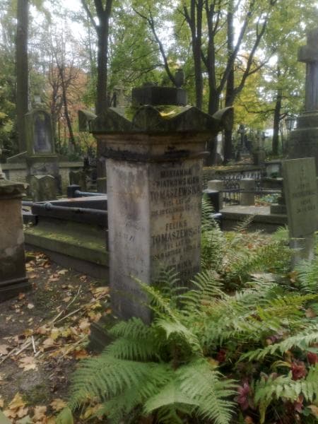 Zdjęcie grobu Helena Tatarkiewicz (2)