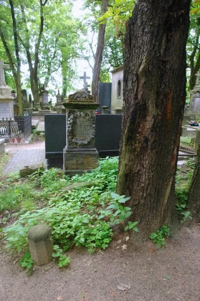 Zdjęcie grobu Wiktor Żórawski (1)