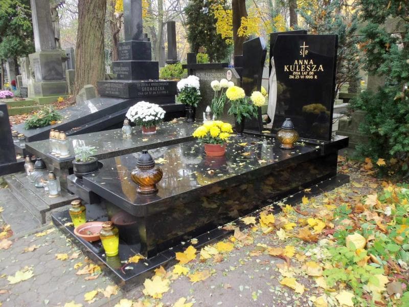 Zdjęcie grobu Anna Kulesza (1)