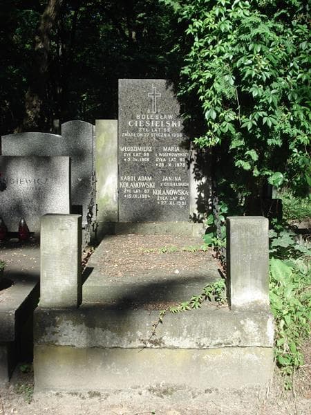 Zdjęcie grobu: Bolesław Ciesielski