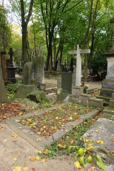 Zdjęcie grobu Marian Wołowski (1)