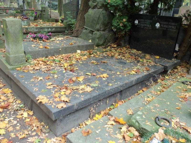 Zdjęcie grobu Wojciech Stanisław Perkowski (1)