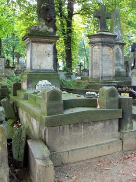 Zdjęcie grobu Teofil Chrzanowski (1)
