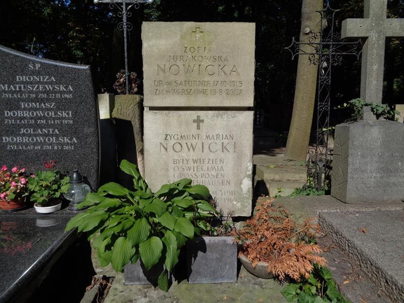 Zdjęcie grobu Zygmunt Marian Nowicki (2)