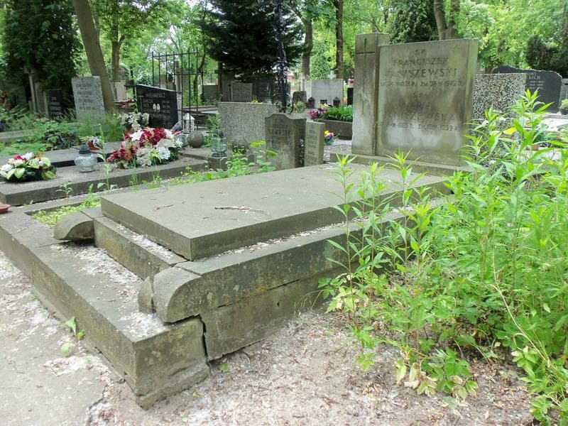 Zdjęcie grobu Franciszek Janiszewski (1)