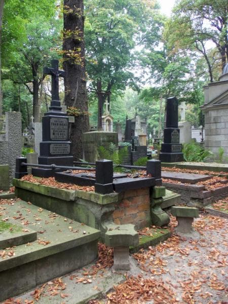 Zdjęcie grobu Antoni Frasiński (1)