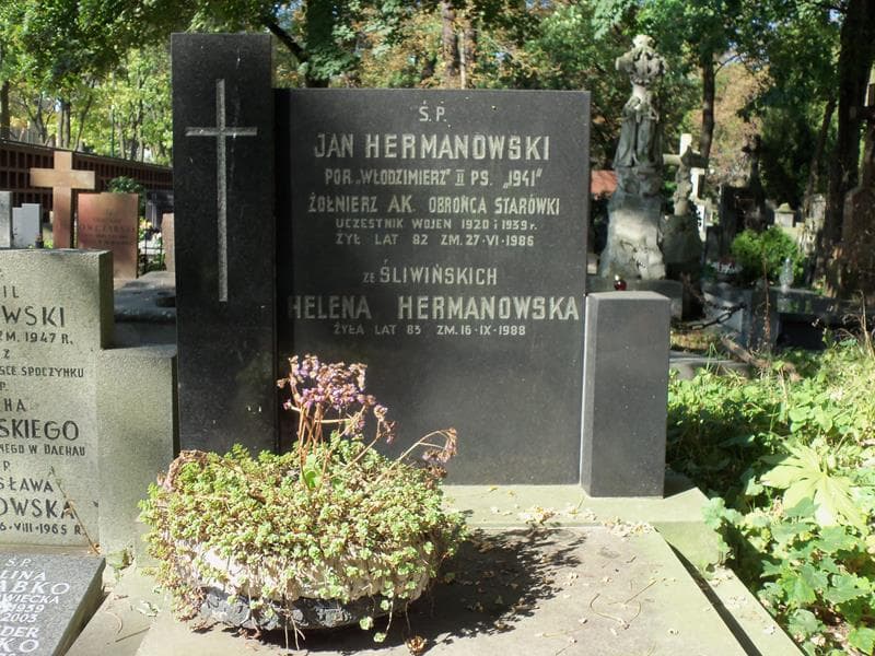 Zdjęcie grobu Helena Hermanowska (2)