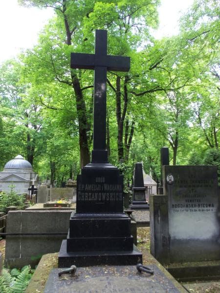Zdjęcie grobu Wacław Chrzanowski (2)