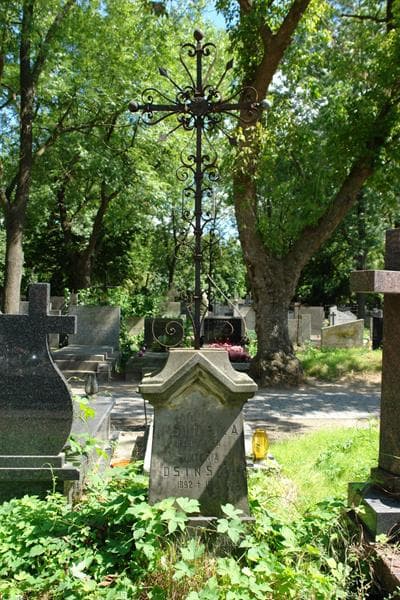Zdjęcie grobu Włodzimierz Wojciech Horn (2)