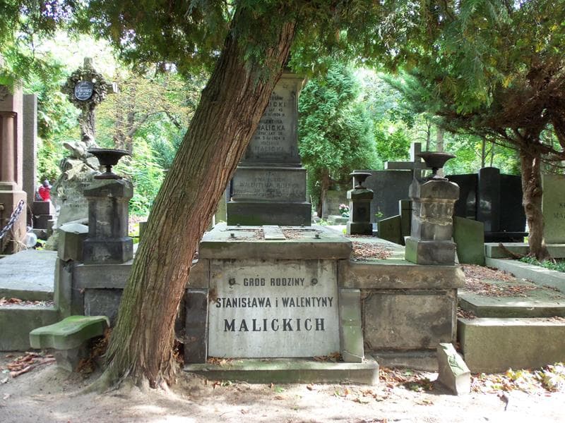 Zdjęcie grobu: Wacława Malicka