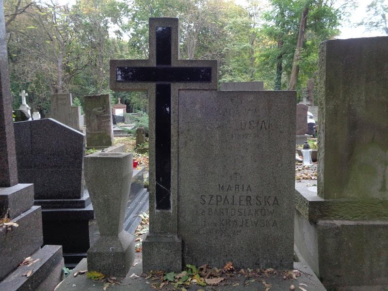 Zdjęcie grobu Wacława Bartosiak (2)