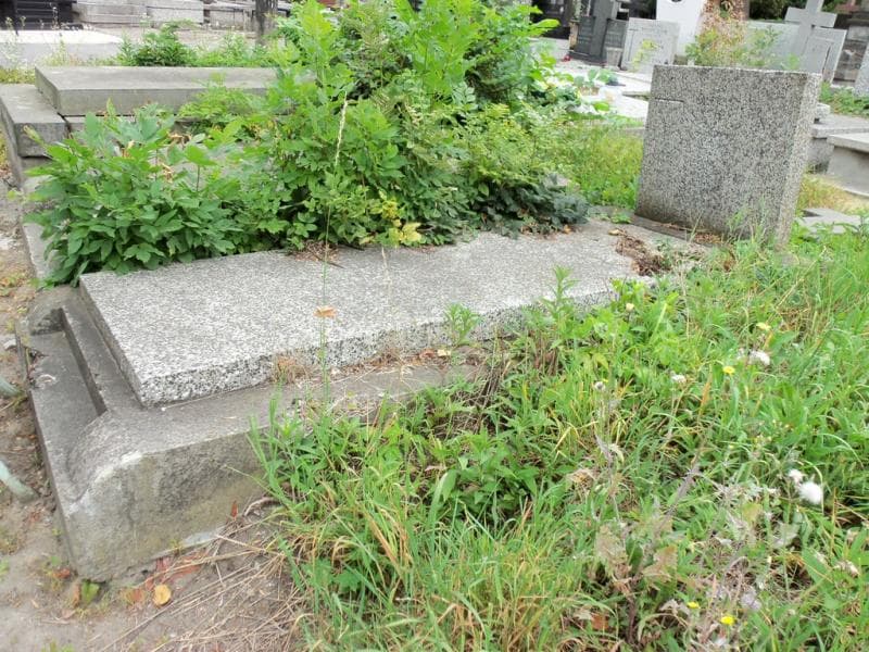 Zdjęcie grobu Aleksander Serafin (1)