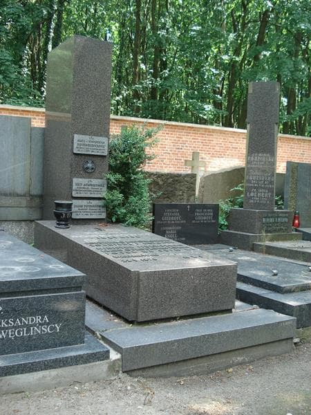 Zdjęcie grobu Jerzy Downarowicz (1)