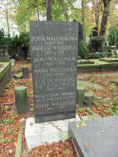 Zdjęcie grobu Jan Wallner (2)