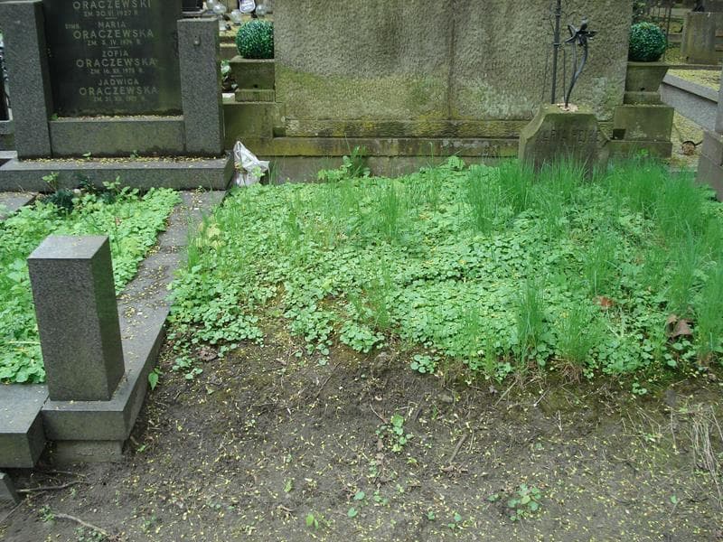 Zdjęcie grobu: Pole Grobowe
