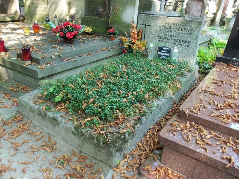 Zdjęcie grobu Edward Seger-Segeny (1)
