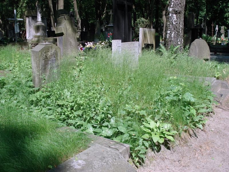 Zdjęcie grobu Pole Grobowe (2)