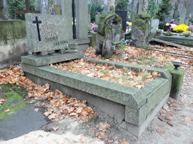 Zdjęcie grobu Janina Hankowa (1)