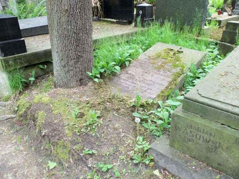 Zdjęcie grobu Ludwika Delong (1)