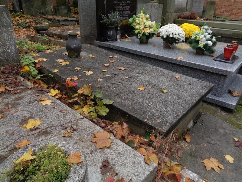 Zdjęcie grobu: Niżałowscy