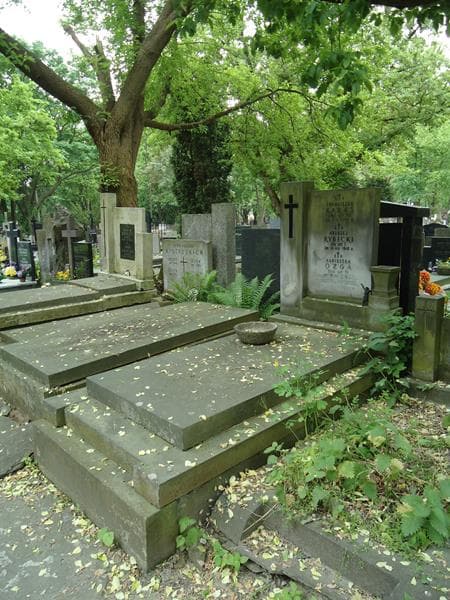 Zdjęcie grobu Andrzej Rybicki (1)