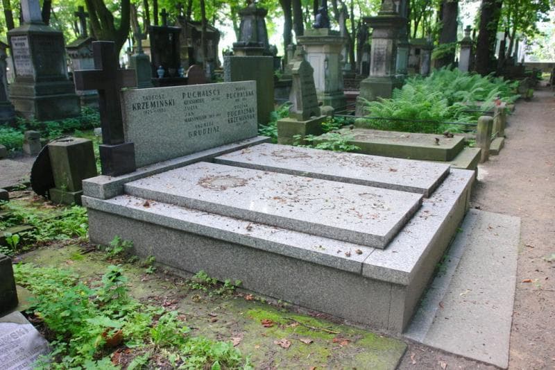 Zdjęcie grobu: Tadeusz Krzemiński