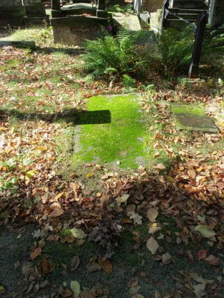 Zdjęcie grobu: Teressa Włodkowa