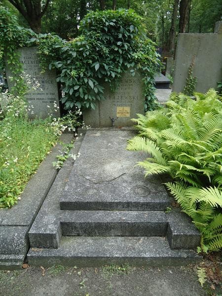 Zdjęcie grobu: Maria Bronisława Krajewska