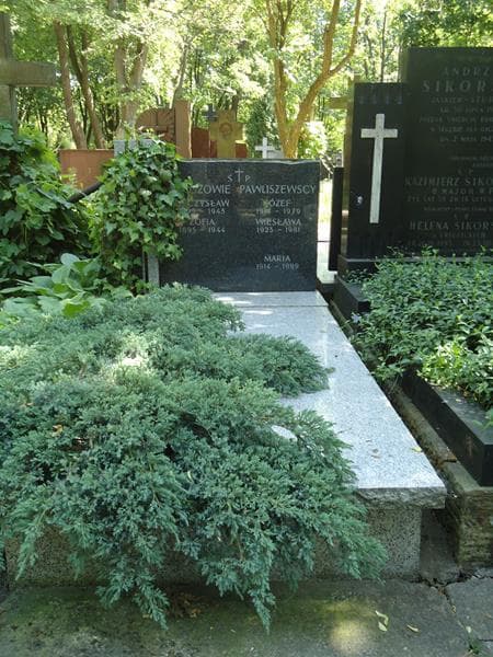 Zdjęcie grobu: Józef Pawliszewski