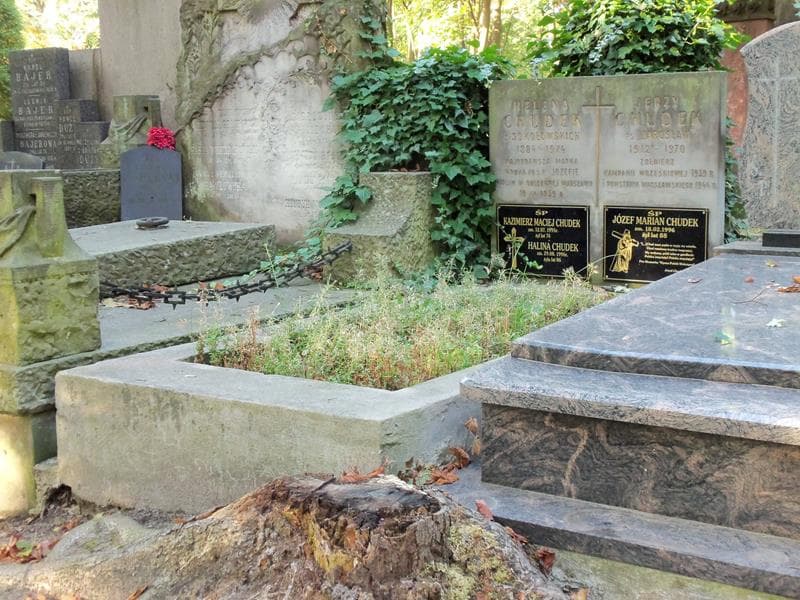 Zdjęcie grobu Halina Chudek (1)