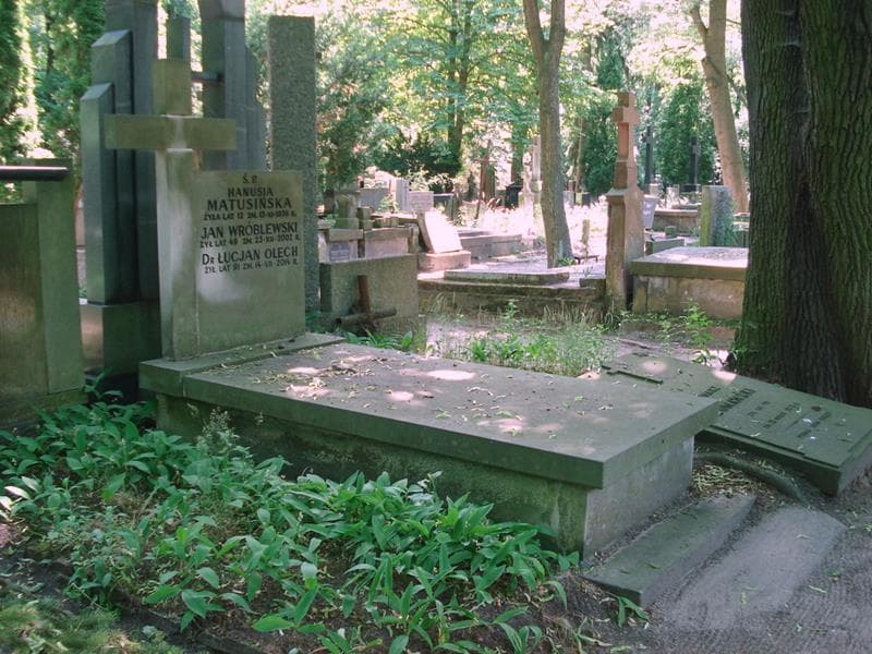 Zdjęcie grobu: Jan Wróblewski