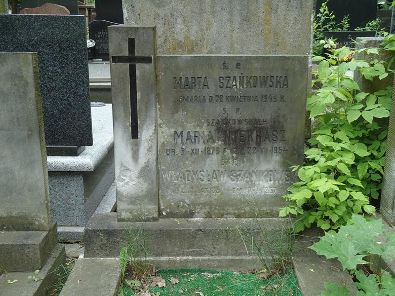 Zdjęcie grobu Władysław Szańkowski (2)