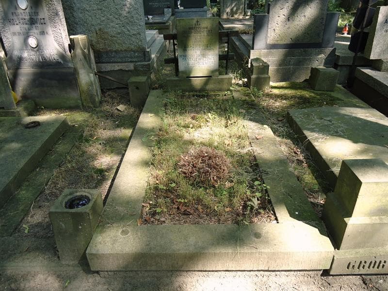 Zdjęcie grobu Ludwik Baszkiewicz (1)