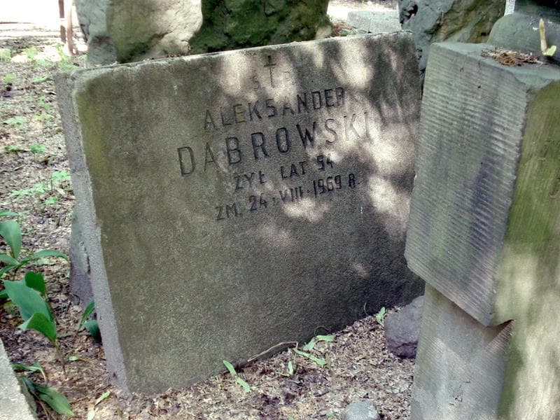 Zdjęcie grobu Henryk Majewski (2)
