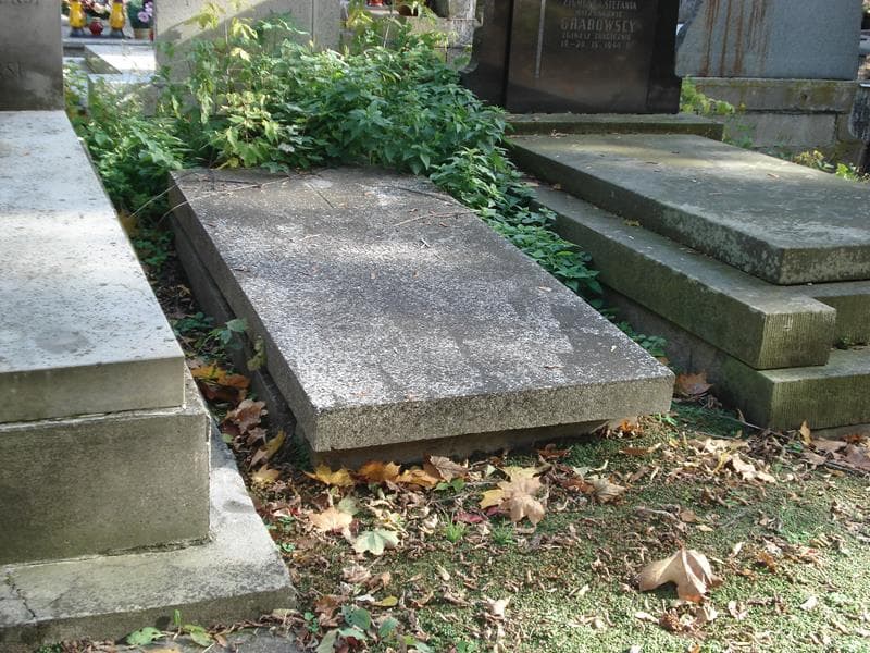 Zdjęcie grobu Maria Wołoszynowska (1)