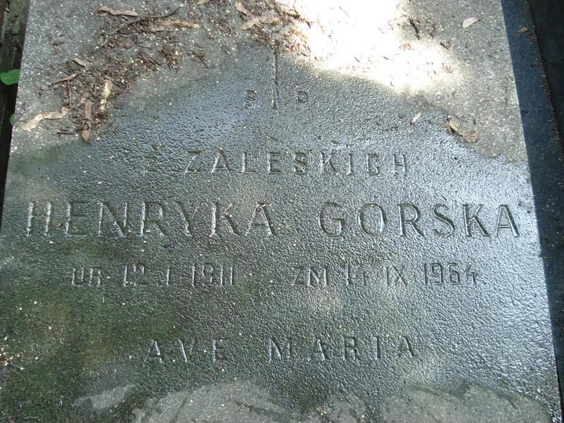 Zdjęcie grobu Henryka Górska (2)