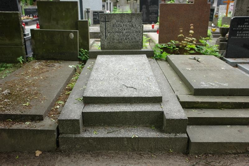Zdjęcie grobu Stanisław Bieliński (1)
