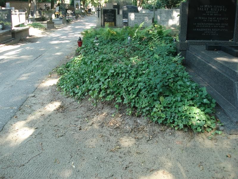 Zdjęcie grobu: Pole Grobowe